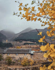 Guipu Nan Shan Homestay Beijing