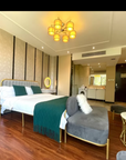 Zhushikou Family Loft Homestay Beijing